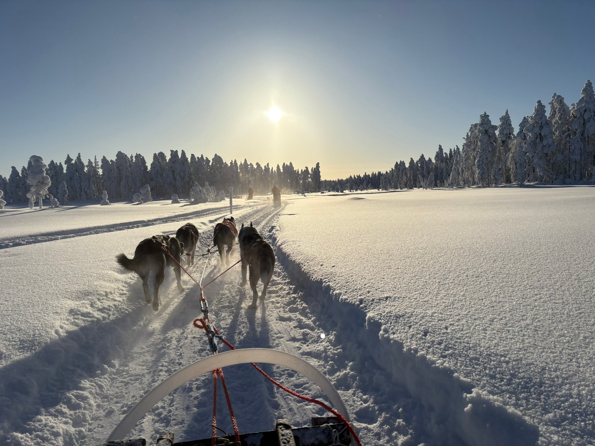 Child in warm Lapland thermal gear petting a husky dog during a Lapland family holiday safari