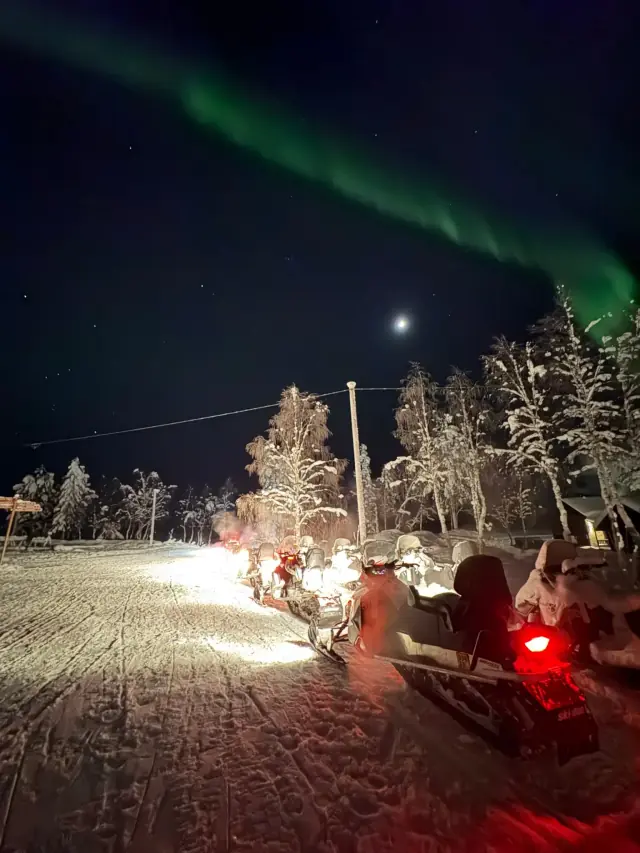 Reindeer under a green aurora in the dark Lapland sky