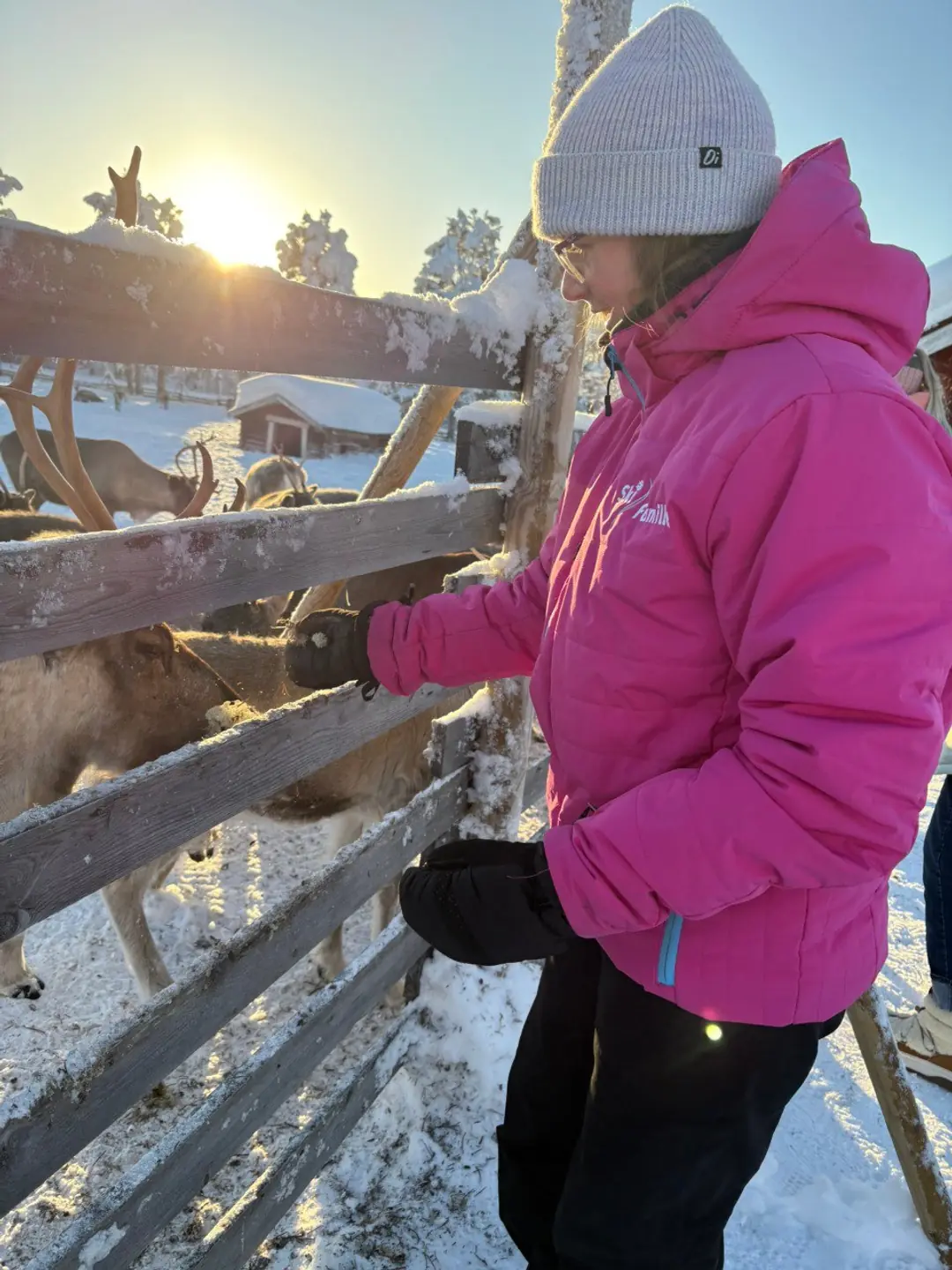 Children meeting friendly reindeer