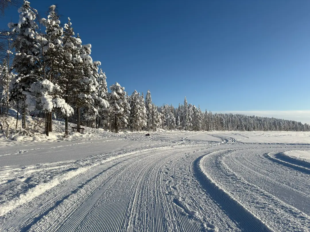 Groomed snow trail through snow-laden pine trees beside a frozen lake under blue sky