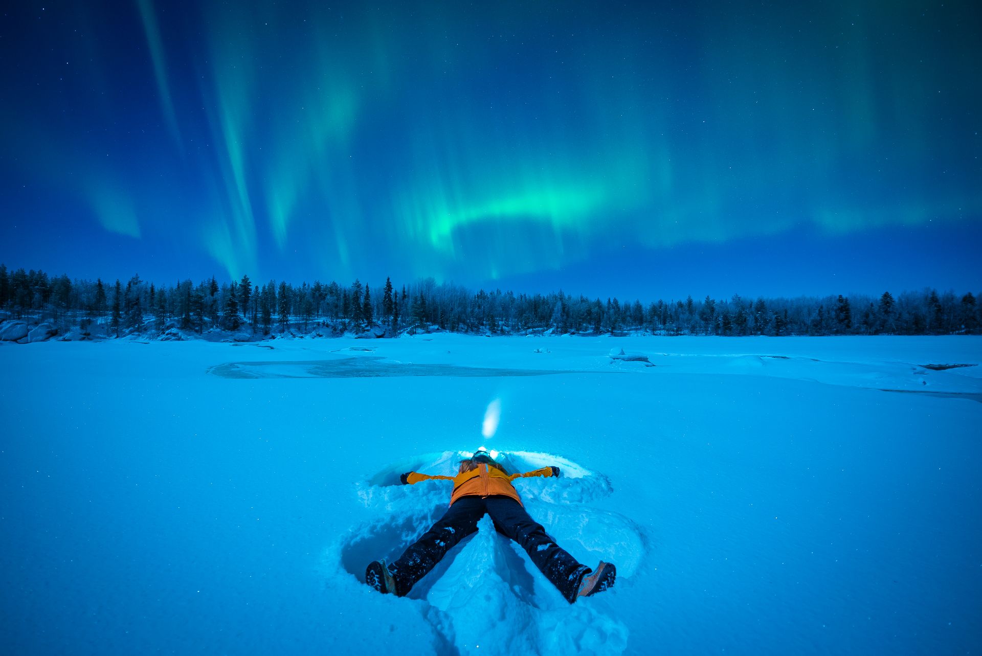 Northern Lights over the snow-covered forests of Finnish Lapland